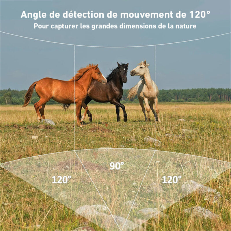 Caméra de Chasse IP66 avec Écran LCD HD – Image 4