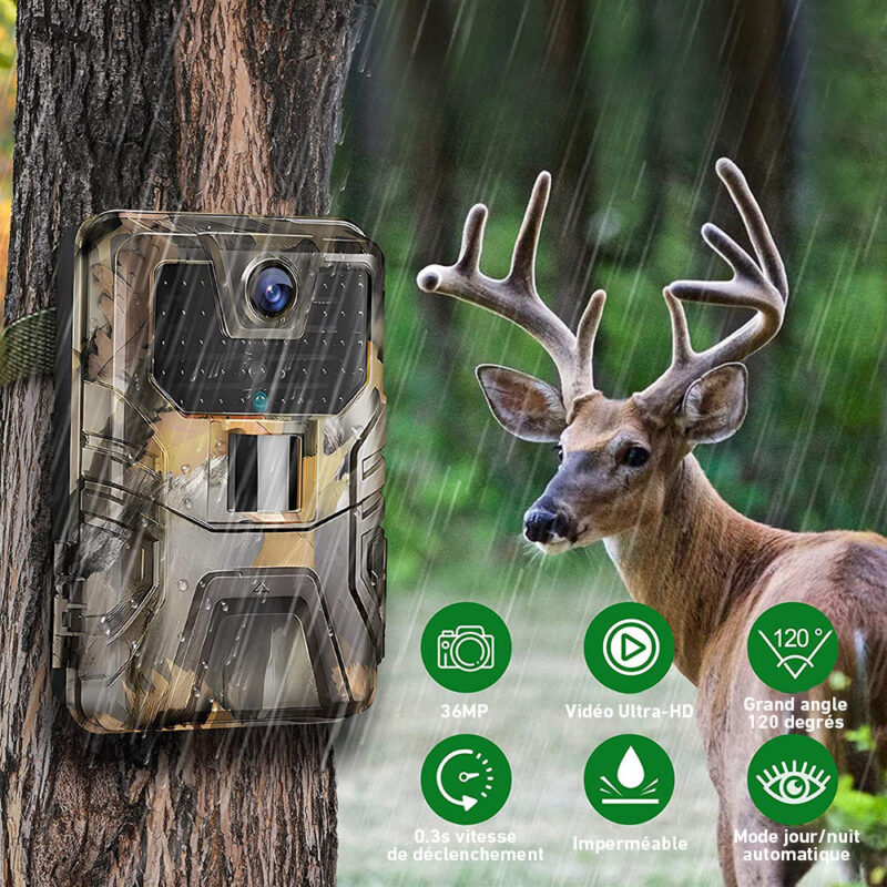 Caméra de Chasse IP66 avec Écran LCD HD – Image 3