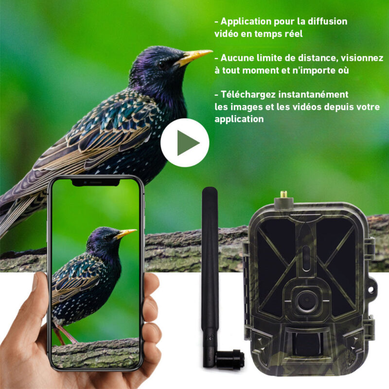 Caméra de Chasse 4G 36MP Connectée avec Batterie 10000mAh – Image 3