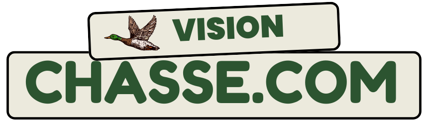 visionchasse.com